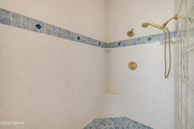 4690 S Atlantic Ave, Ponce Inlet, FL 32127 - bathroom with tiled shower