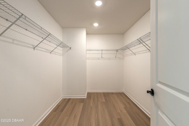 spacious closet featuring wood finished floors