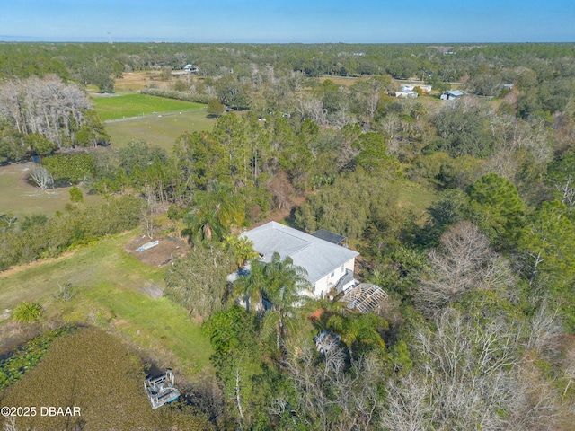 1035 State Road 415, New Smyrna Beach, FL 32168 - photo 45