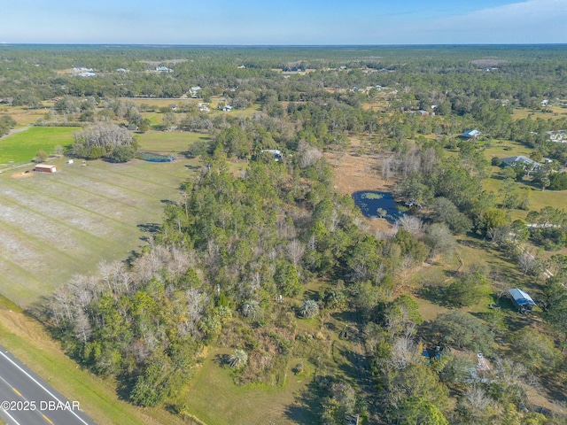 1035 State Road 415, New Smyrna Beach, FL 32168 - photo 47