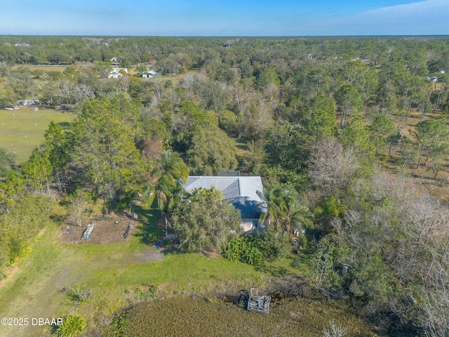 1035 State Road 415, New Smyrna Beach, FL 32168 - photo 46
