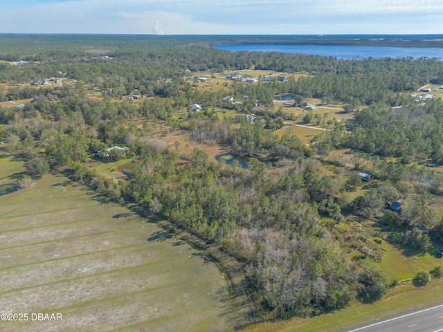 1035 State Road 415, New Smyrna Beach, FL 32168 - photo 38