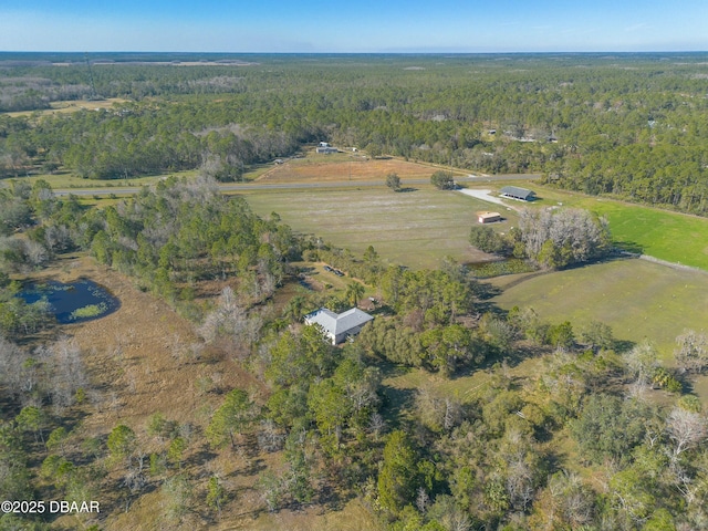 1035 State Road 415, New Smyrna Beach, FL 32168 - photo 35