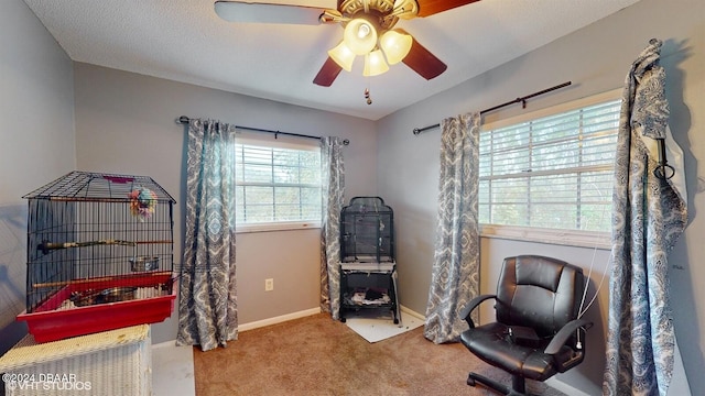 interior space featuring carpet floors and ceiling fan