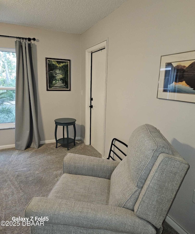 living area featuring carpet flooring and a textured ceiling