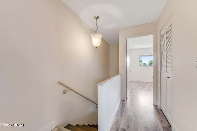 corridor featuring light hardwood / wood-style flooring