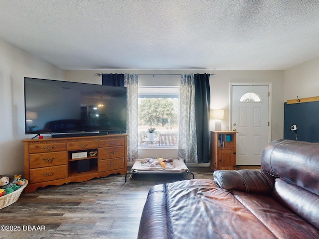 living room with a textured ceiling and wood finished floors