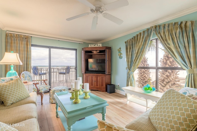 living room featuring ceiling fan, ornamental molding, a wealth of natural light, and light hardwood / wood-style flooring