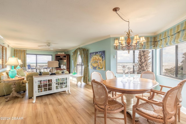 dining space featuring light hardwood / wood-style flooring, ceiling fan with notable chandelier, and ornamental molding