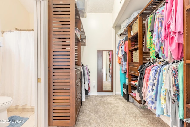 walk in closet featuring carpet floors