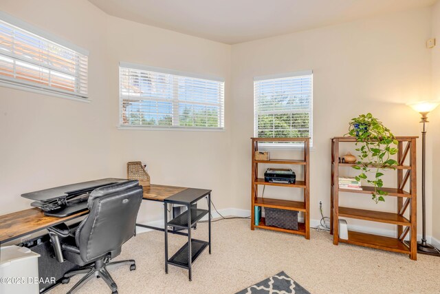 3145 Connemara Dr, Ormond Beach, FL 32174 - photo 48