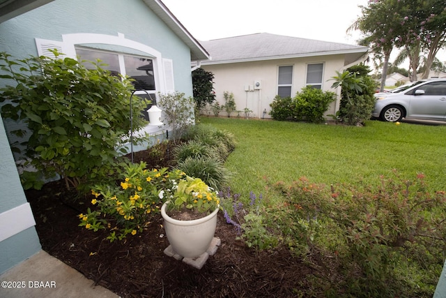 1327 Wayne Ave, New Smyrna Beach, FL 32168 - view of green lawn