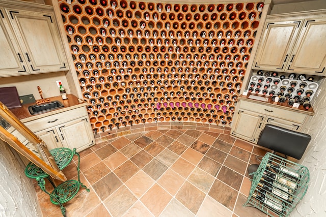 wine room with sink