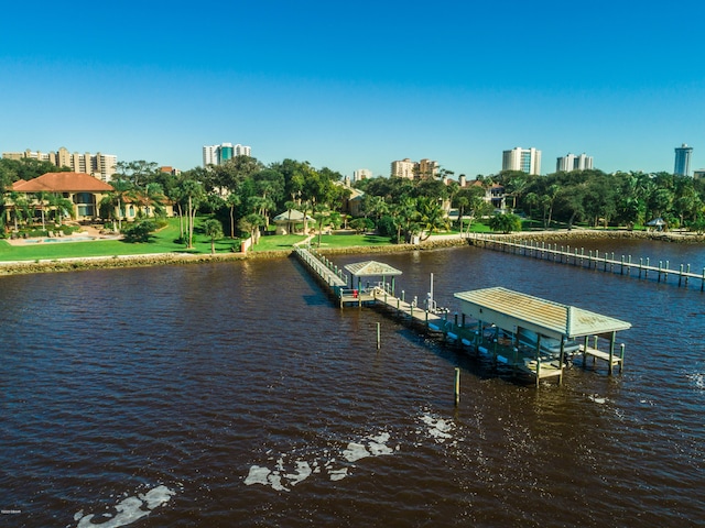 dock area with a water view