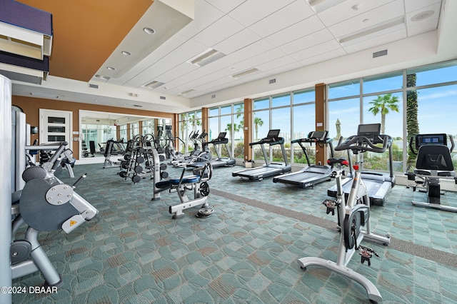 exercise room featuring carpet