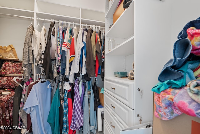 view of walk in closet
