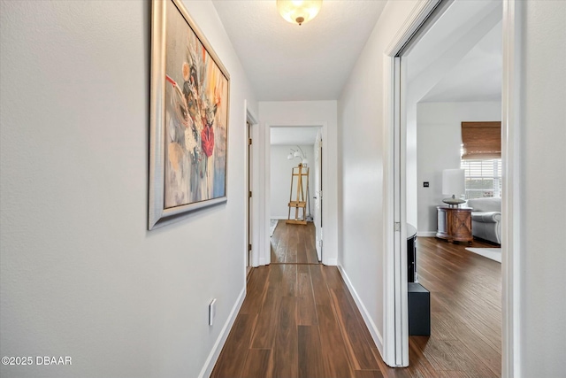 hall with dark wood-type flooring