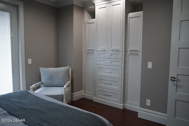 bedroom with multiple windows, dark hardwood / wood-style floors, and a closet