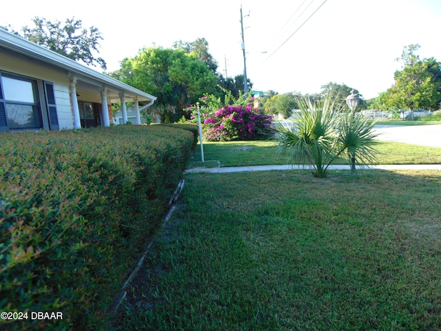 1481 Derbyshire Rd, Daytona Beach, FL 32117 - photo 3