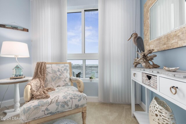 231 Riverside Dr Unit 1803-1, Daytona Beach, FL 32117 - living area featuring plenty of natural light and carpet flooring