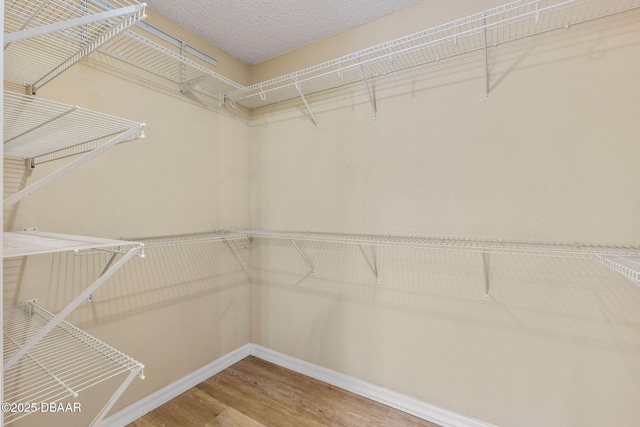 106 Carnival Dr, Daytona Beach, FL 32124 - photo 29
