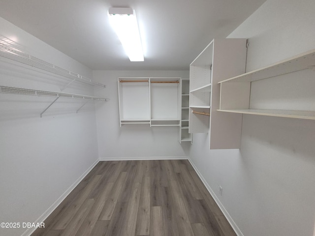 spacious closet with wood finished floors