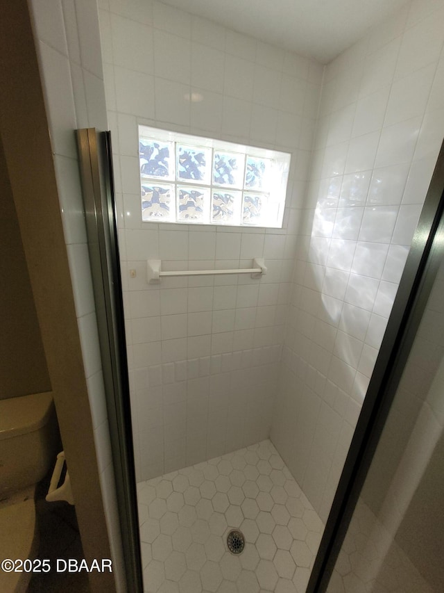 bathroom featuring a shower stall and toilet