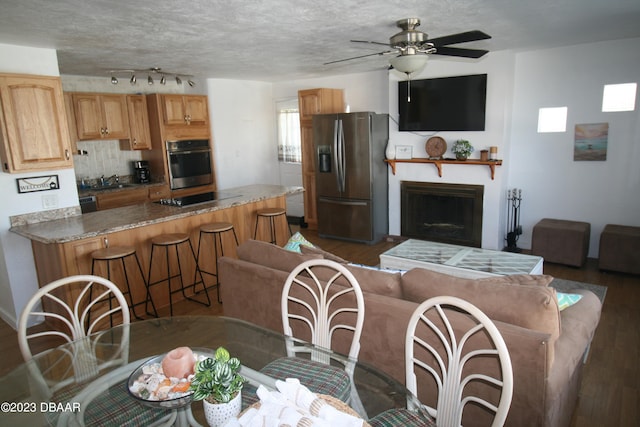 interior space featuring stainless steel appliances, stone countertops, dark hardwood / wood-style flooring, sink, and ceiling fan