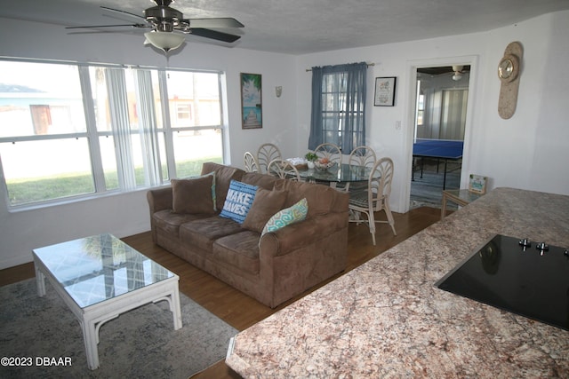 9 Neptune Dr, Ormond Beach, FL 32176 - photo 10