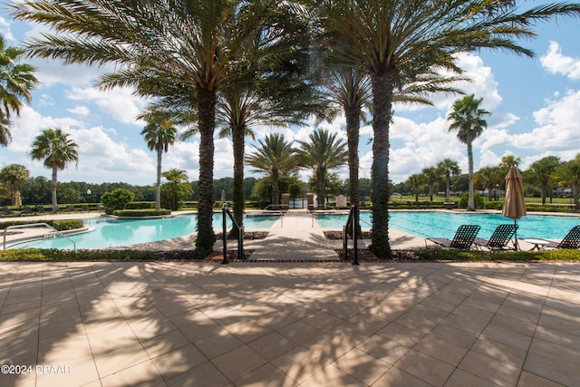 view of swimming pool featuring a patio