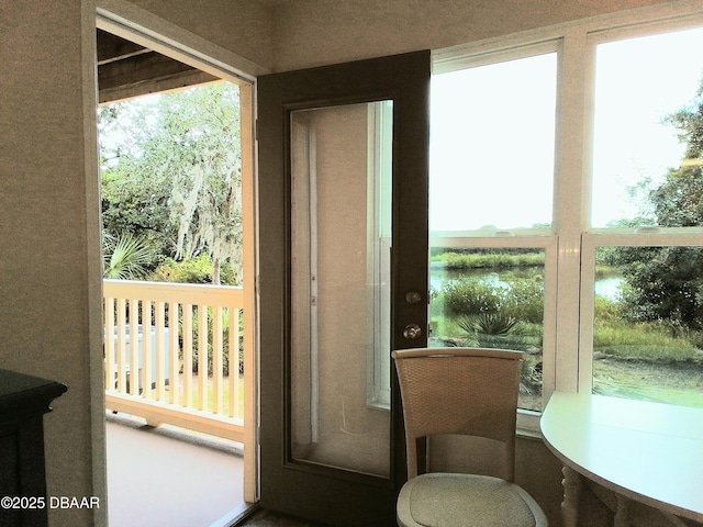 1401 S Palmetto Ave Unit 415, Daytona Beach, FL 32114 - photo 8