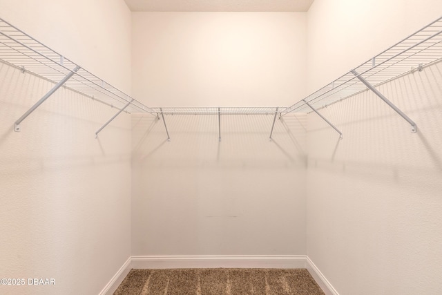 spacious closet with carpet