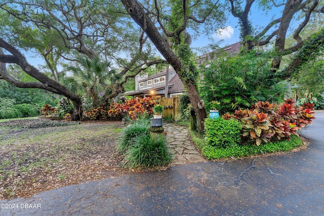 120 Beach St, Ponce Inlet, FL 32127 - view of yard