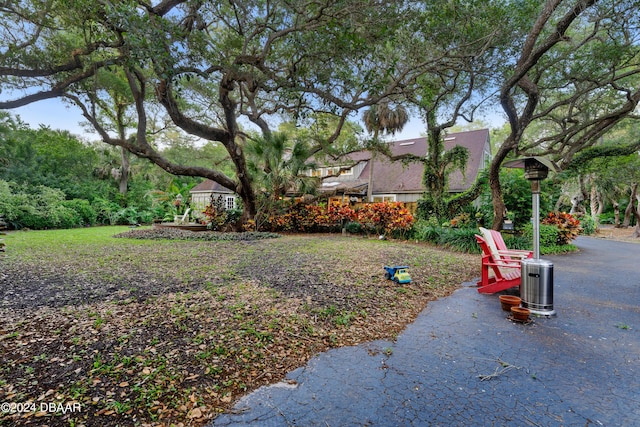 120 Beach St, Ponce Inlet, FL 32127 - view of yard featuring a patio