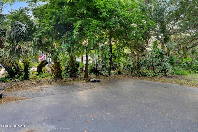 120 Beach St, Ponce Inlet, FL 32127 - view of asphalt driveway