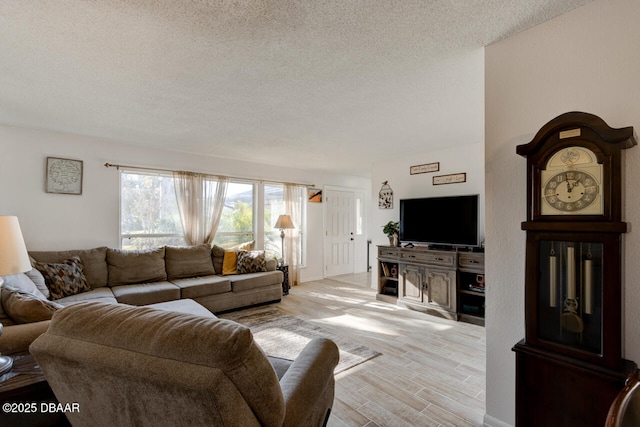 living room featuring a textured ceiling and light hardwood / wood-style flooring