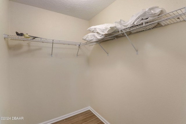 spacious closet with dark wood finished floors