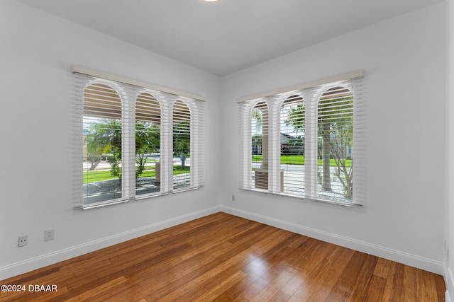 empty room featuring hardwood / wood-style flooring and plenty of natural light