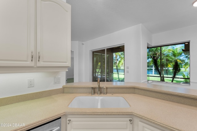 kitchen with white cabinets, stainless steel dishwasher, and sink