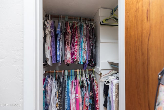 view of walk in closet