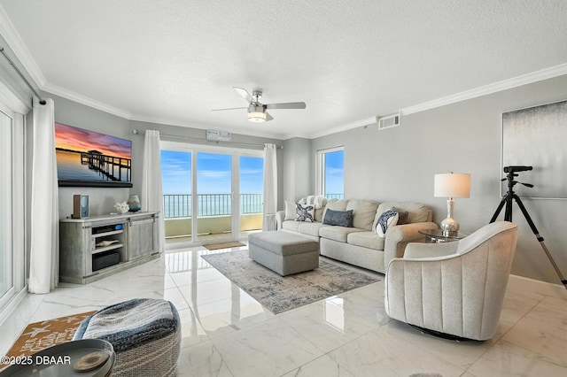2937 S Atlantic Ave, Daytona Beach, FL 32118 - photo 23