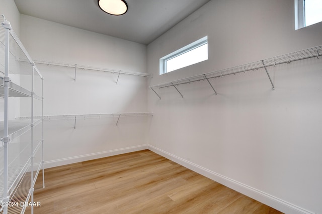 walk in closet with hardwood / wood-style flooring