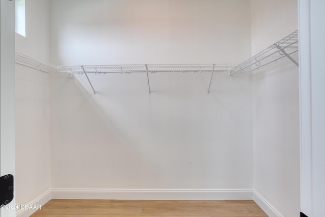 walk in closet with wood-type flooring