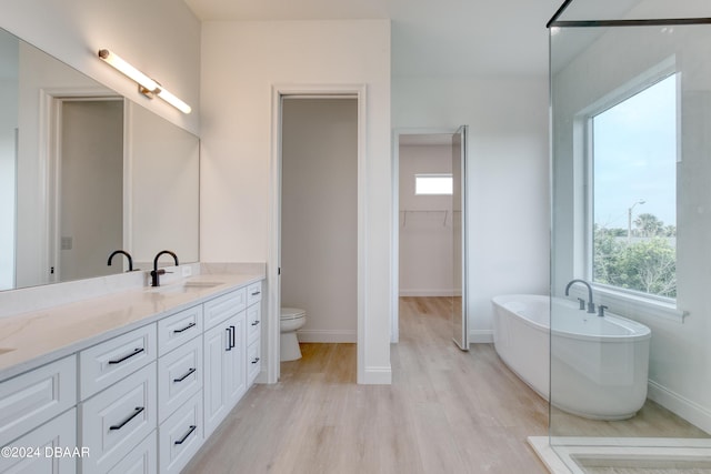 bathroom featuring wood-type flooring, vanity, a bathtub, and plenty of natural light