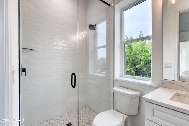 bathroom featuring vanity, toilet, and walk in shower