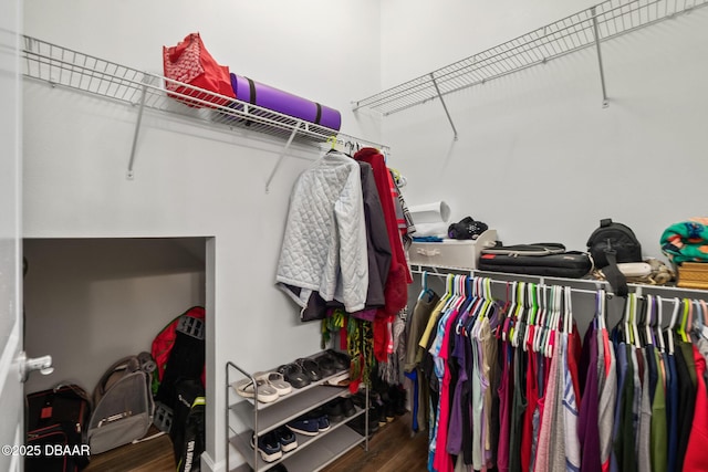 spacious closet with wood finished floors