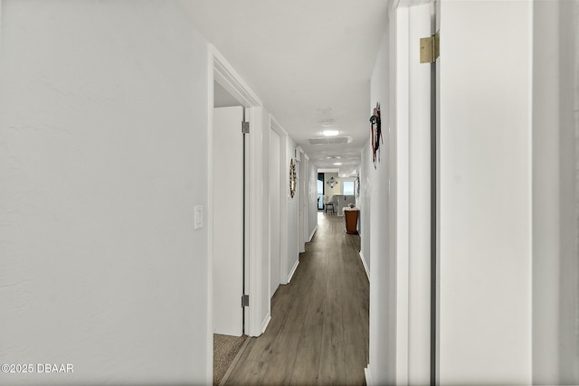 hallway with wood finished floors