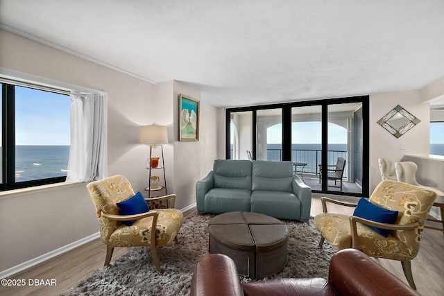 living room featuring a water view, wood finished floors, and baseboards