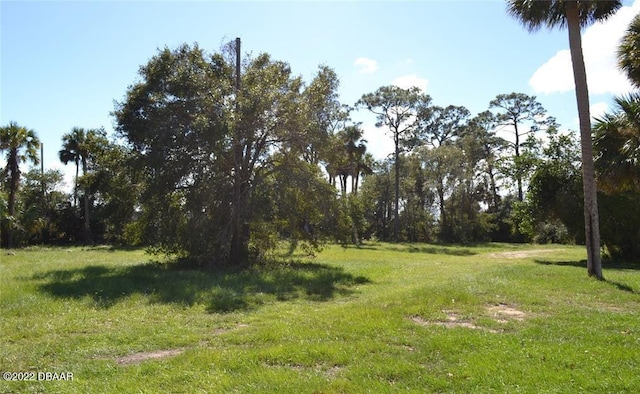 206 S Ridgewood Ave, Edgewater FL, 32132 land for sale