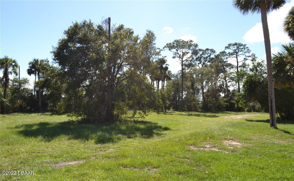 206 S Ridgewood Ave, Edgewater, FL 32132